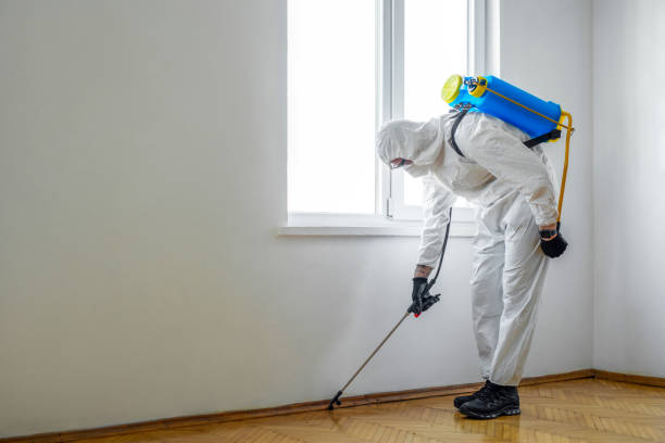 Professional Pest Control in Kingsport, TN